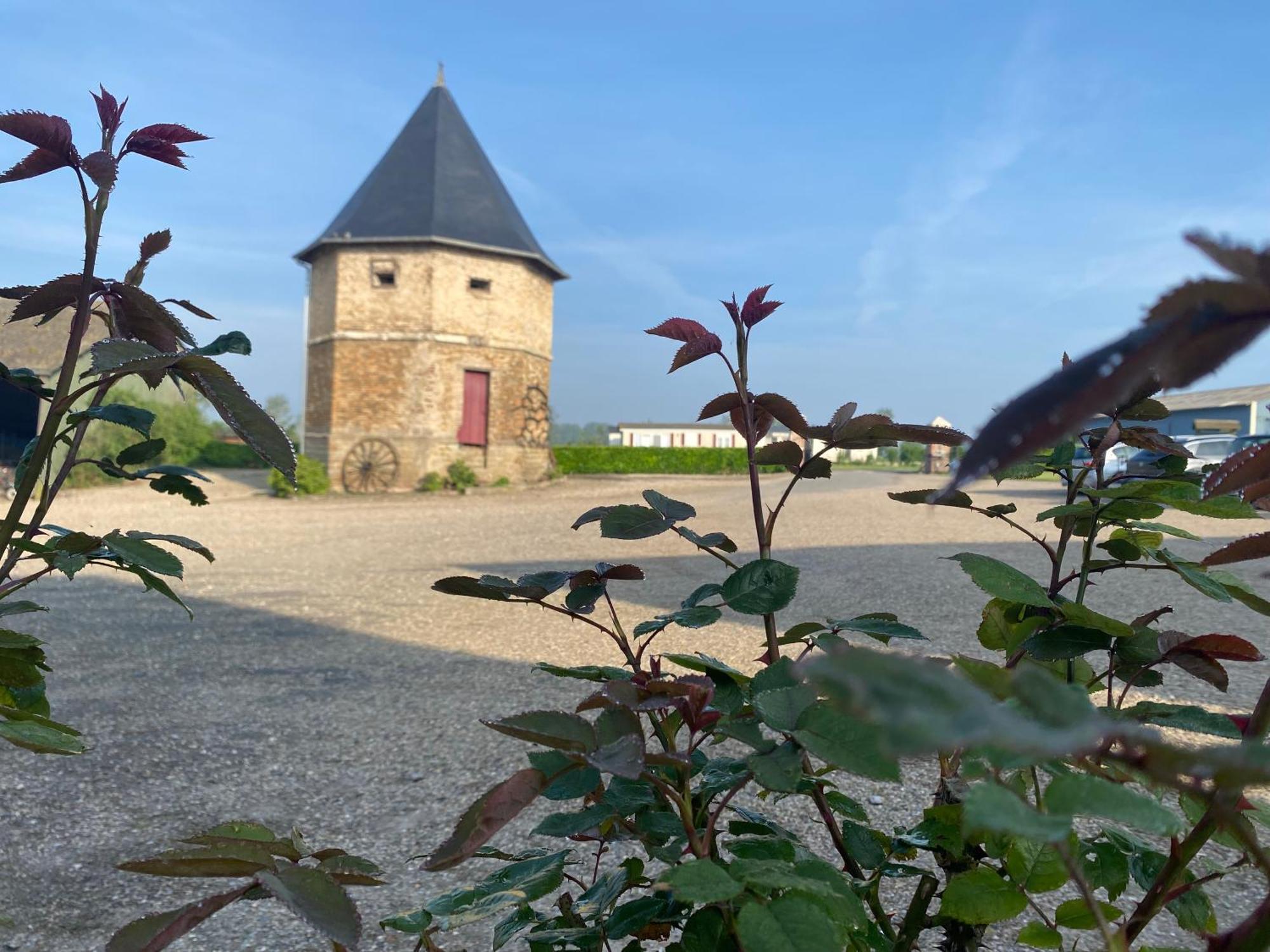 Chambres Dhotes A La Ferme Forest-Montiers Luaran gambar